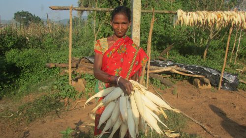 Most women like Majia Kumuruka have taken to cultivating nutrition gardens in their backyard.
